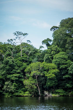 2010 Tortuguero 2010 Tortuguero