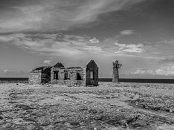 2012 Washington Slagbaai (Bonaire) 2012 Washington Slagbaai (Bonaire)