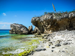 2012 Washington Slagbaai (Bonaire) 2012 Washington Slagbaai (Bonaire)