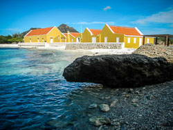 2012 Washington Slagbaai (Bonaire)