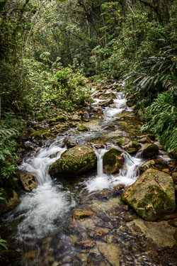 2017 Aguas Calientes (Peru) 2017 Aguas Calientes (Peru)