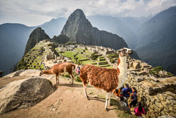 2017 Machu Picchu (Peru) 2017 Machu Picchu (Peru)