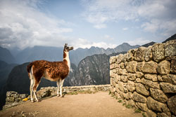 2017 Machu Picchu (Peru) 2017 Machu Picchu (Peru)