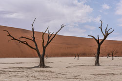 2016 Sossusvlei (Namibië) 