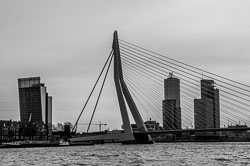 2008 Rotterdam 